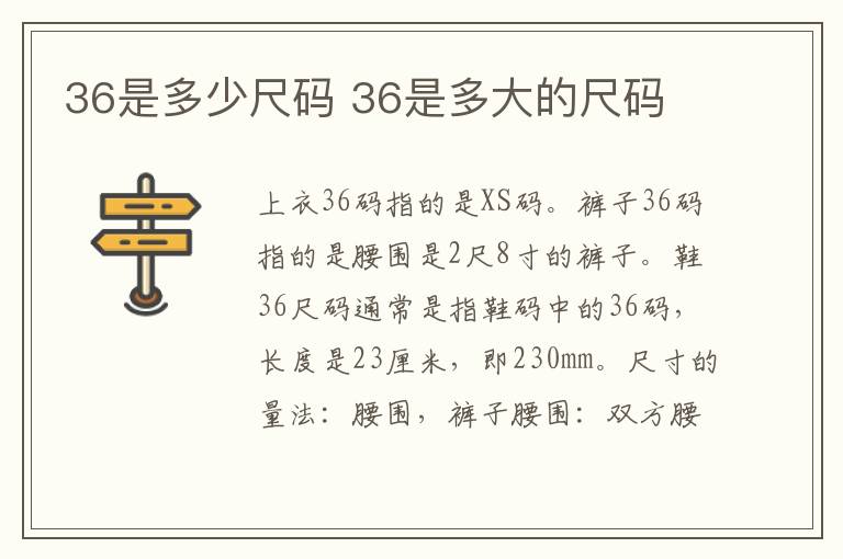 36是多少尺码 36是多大的尺码