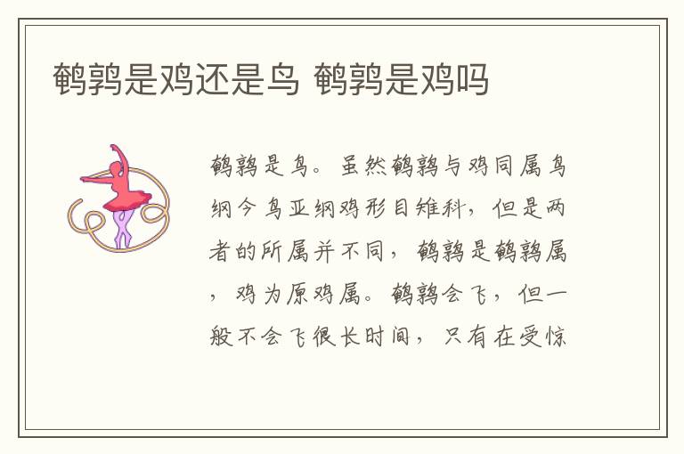 鹌鹑是鸡还是鸟 鹌鹑是鸡吗