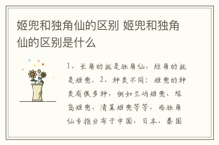 姬兜和独角仙的区别 姬兜和独角仙的区别是什么