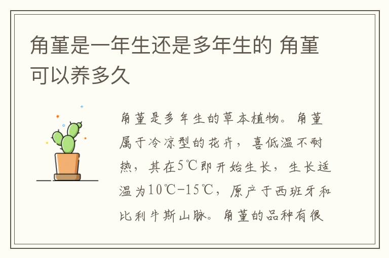 角堇是一年生还是多年生的 角堇可以养多久
