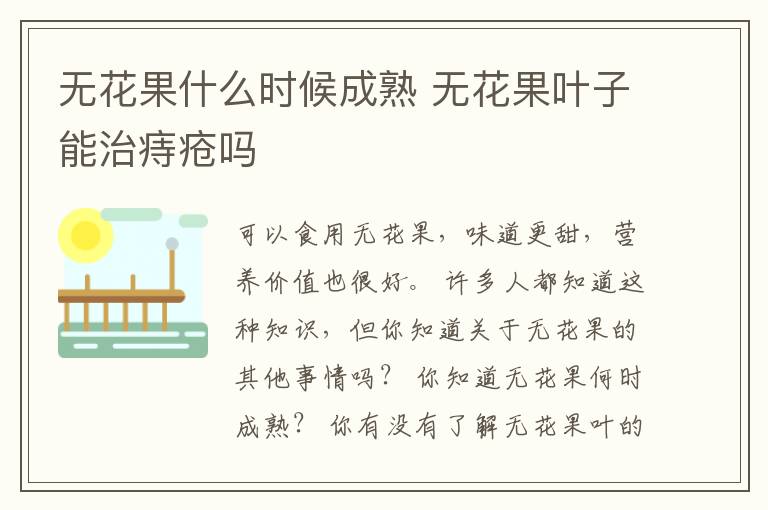 无花果什么时候成熟 无花果叶子能治痔疮吗