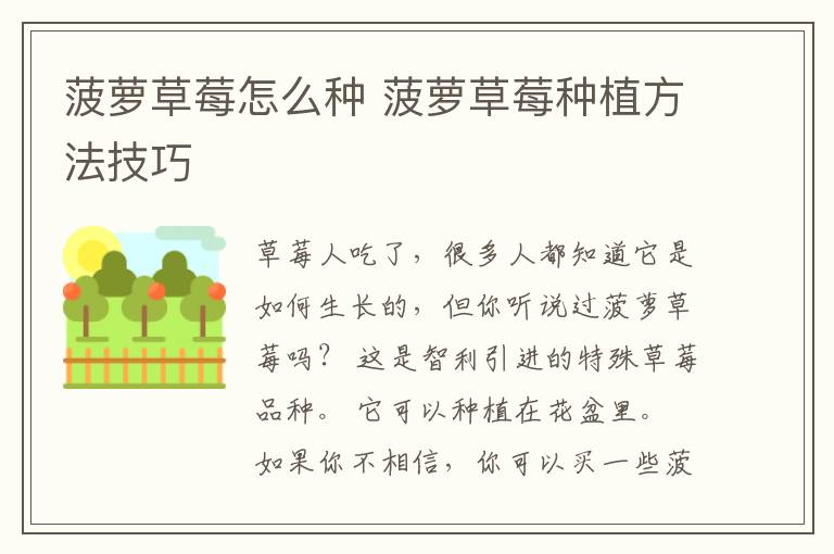 菠萝草莓怎么种 菠萝草莓种植方法技巧