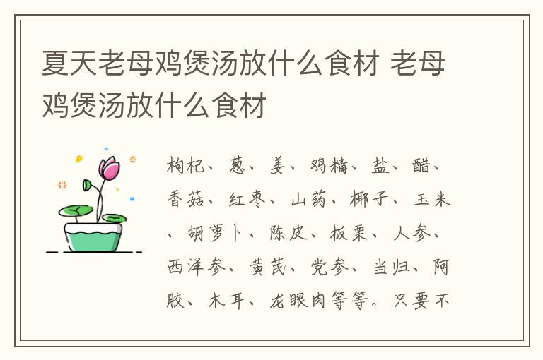 夏天老母鸡煲汤放什么食材 老母鸡煲汤放什么食材