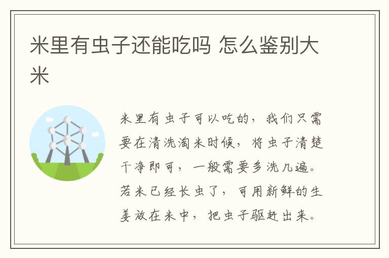 米里有虫子还能吃吗 怎么鉴别大米