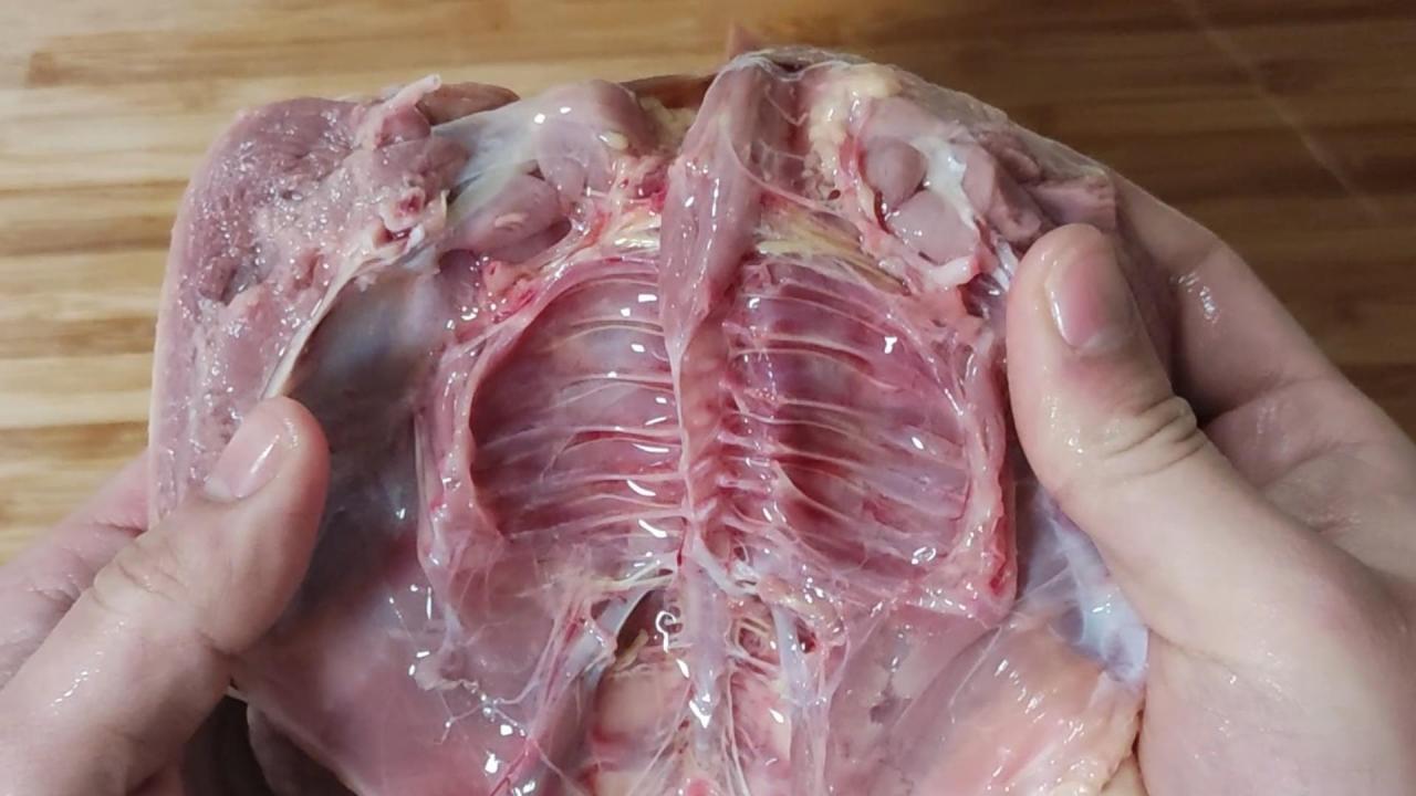 鸽子汤怎么炖好喝又营养（最营养最好吃煲鸽子汤的做法）