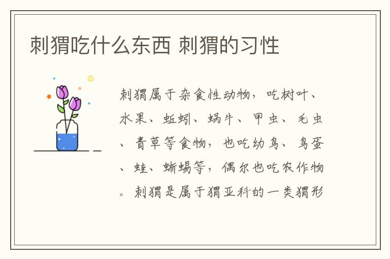 刺猬吃什么东西 刺猬的习性