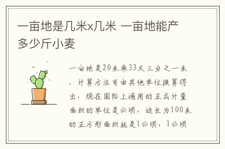 一亩地是几米x几米 一亩地能产多少斤小麦