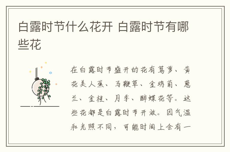 白露时节什么花开 白露时节有哪些花