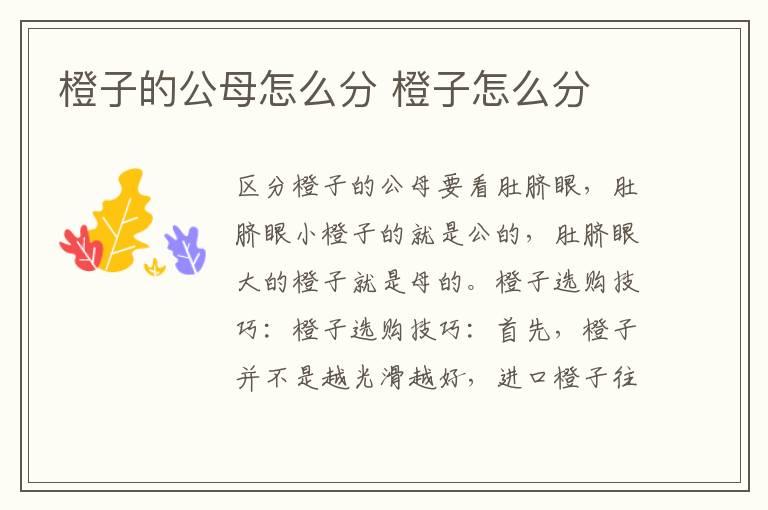 橙子的公母怎么分 橙子怎么分