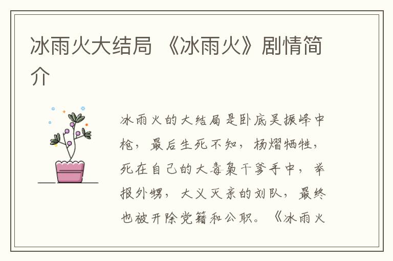 冰雨火大结局 《冰雨火》剧情简介