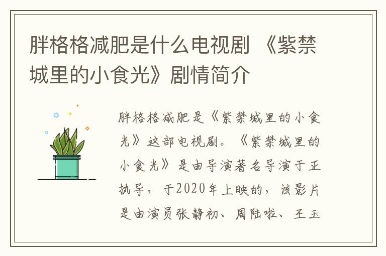 胖格格减肥是什么电视剧 《紫禁城里的小食光》剧情简介