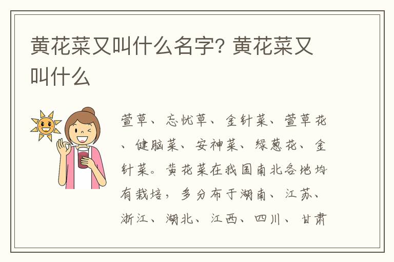 黄花菜又叫什么名字? 黄花菜又叫什么