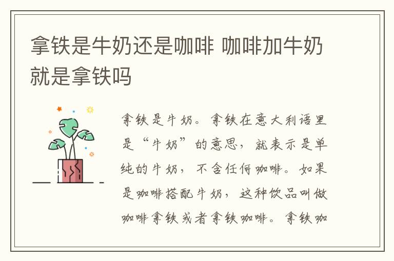 拿铁是牛奶还是咖啡 咖啡加牛奶就是拿铁吗