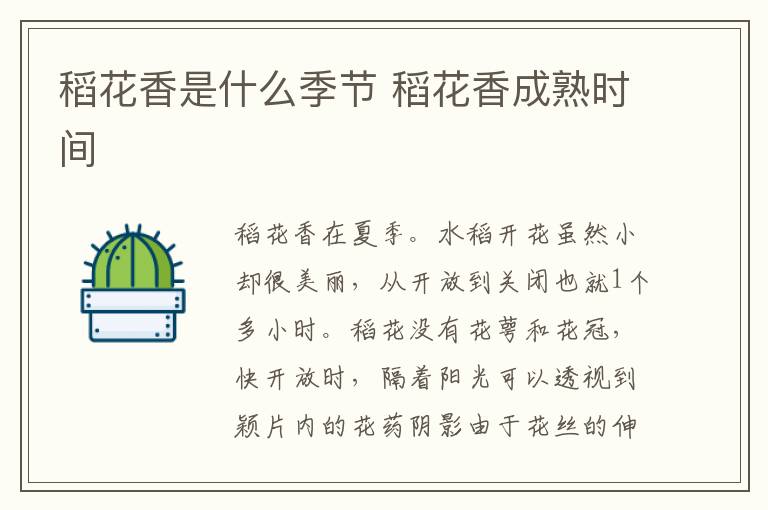 稻花香是什么季节 稻花香成熟时间