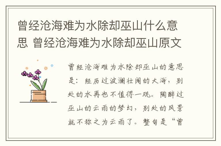 曾经沧海难为水除却巫山什么意思 曾经沧海难为水除却巫山原文