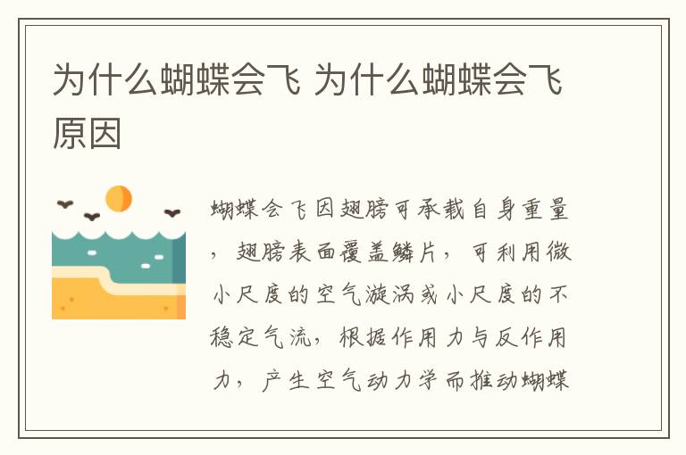 为什么蝴蝶会飞 为什么蝴蝶会飞原因