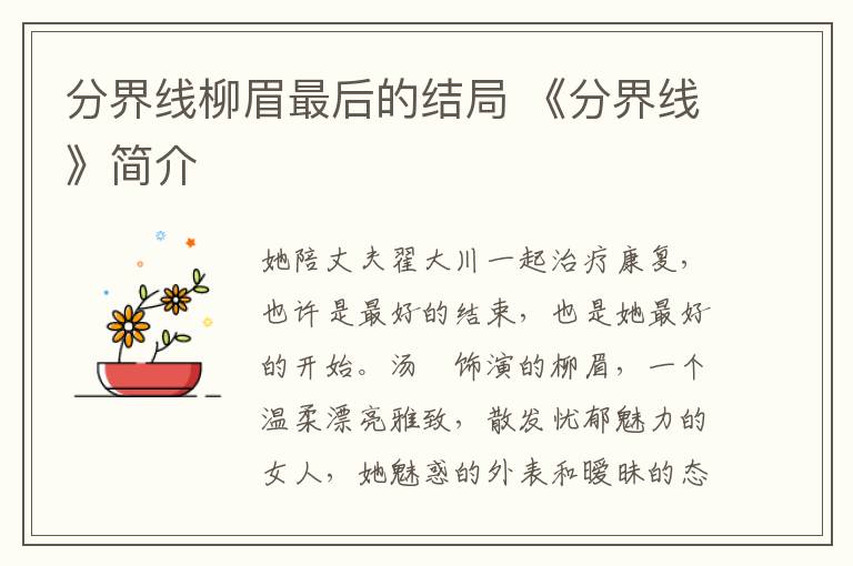 分界线柳眉最后的结局 《分界线》简介