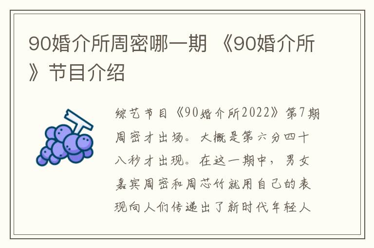 90婚介所周密哪一期 《90婚介所》节目介绍