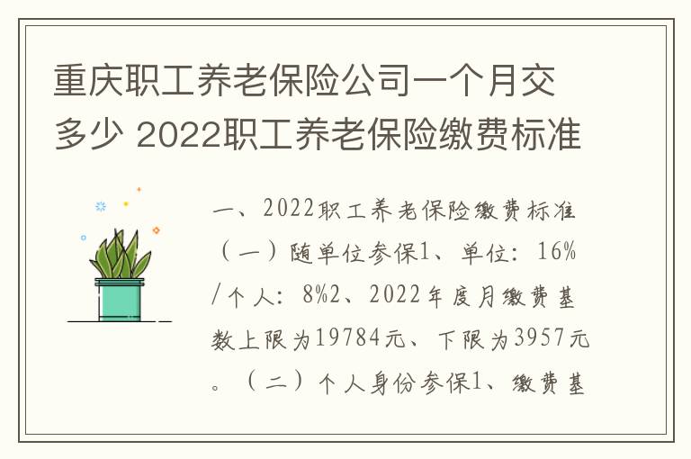 重庆职工养老保险公司一个月交多少 2022职工养老保险缴费标准