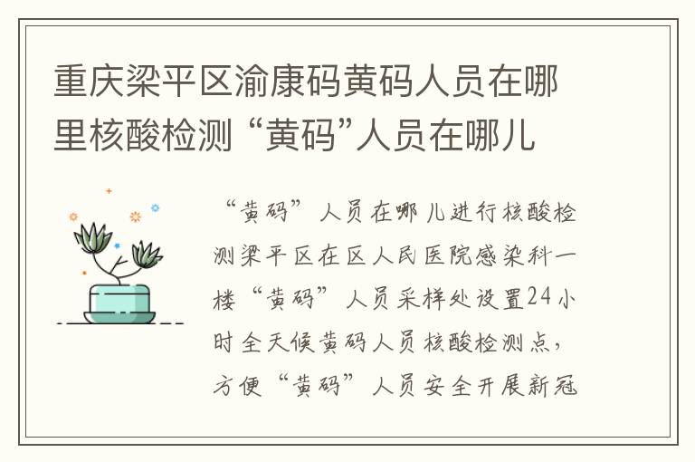 重庆梁平区渝康码黄码人员在哪里核酸检测 “黄码”人员在哪儿进行核酸检测