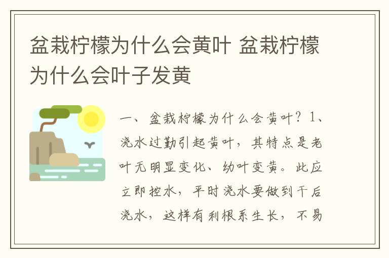 盆栽柠檬为什么会黄叶 盆栽柠檬为什么会叶子发黄