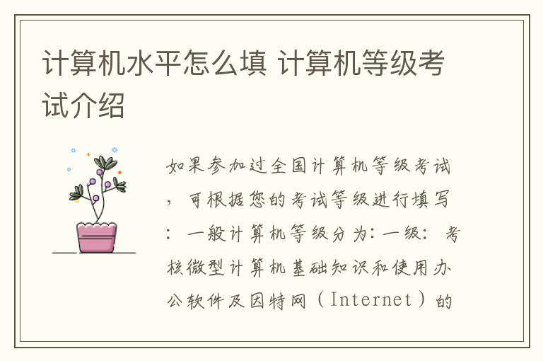 计算机水平怎么填 计算机等级考试介绍
