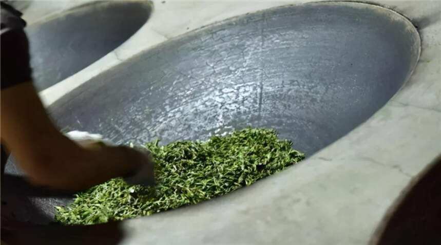 普洱生茶怎么做？（普洱生茶怎么泡）