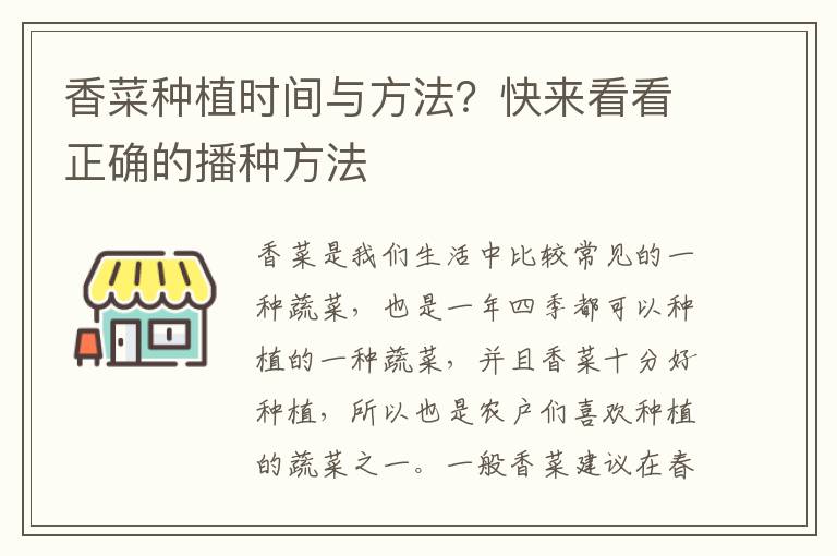 香菜种植时间与方法？快来看看正确的播种方法