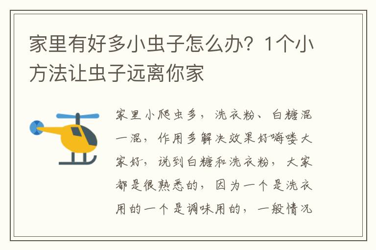 家里有好多小虫子怎么办？1个小方法让虫子远离你家