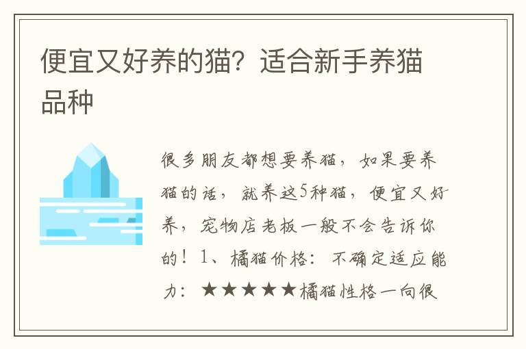 便宜又好养的猫？适合新手养猫品种