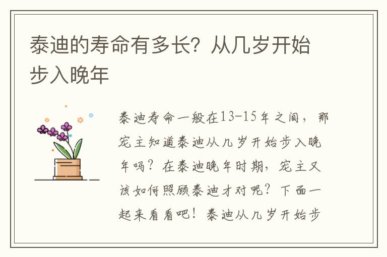 泰迪的寿命有多长？从几岁开始步入晚年