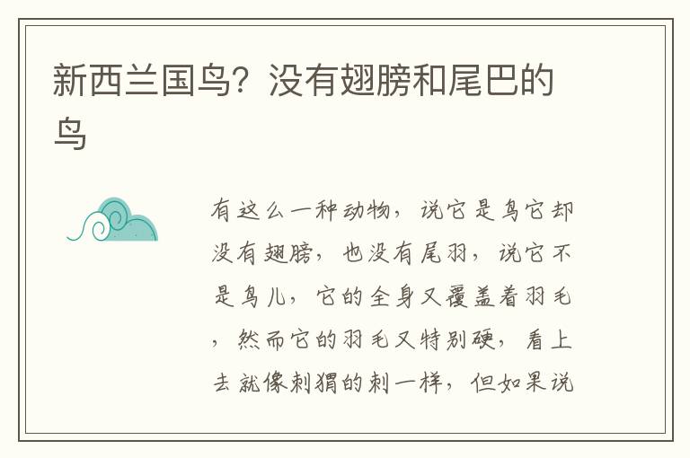 新西兰国鸟？没有翅膀和尾巴的鸟