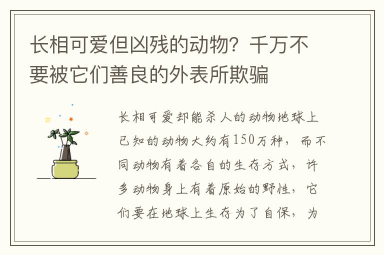 长相可爱但凶残的动物？千万不要被它们善良的外表所欺骗