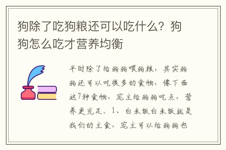 狗除了吃狗粮还可以吃什么？狗狗怎么吃才营养均衡