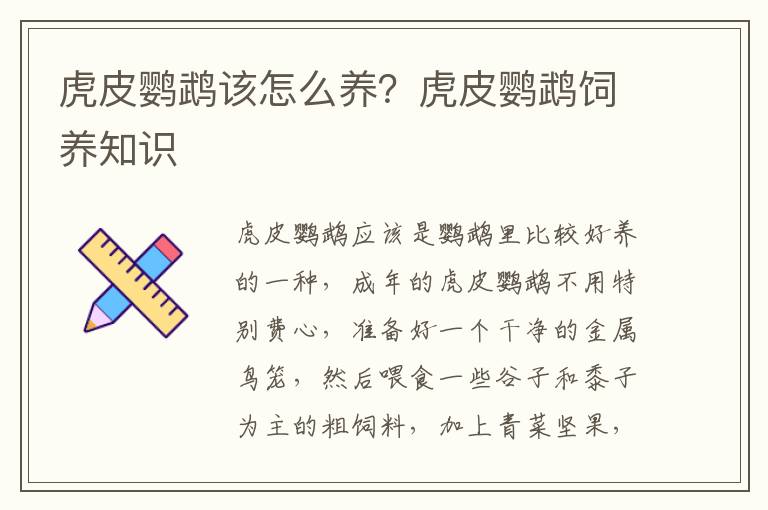 虎皮鹦鹉该怎么养？虎皮鹦鹉饲养知识