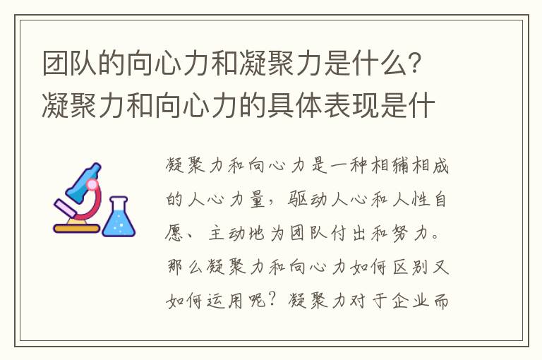 团队的向心力和凝聚力是什么？凝聚力和向心力的具体表现是什么