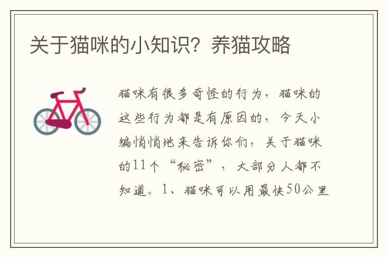 关于猫咪的小知识？养猫攻略