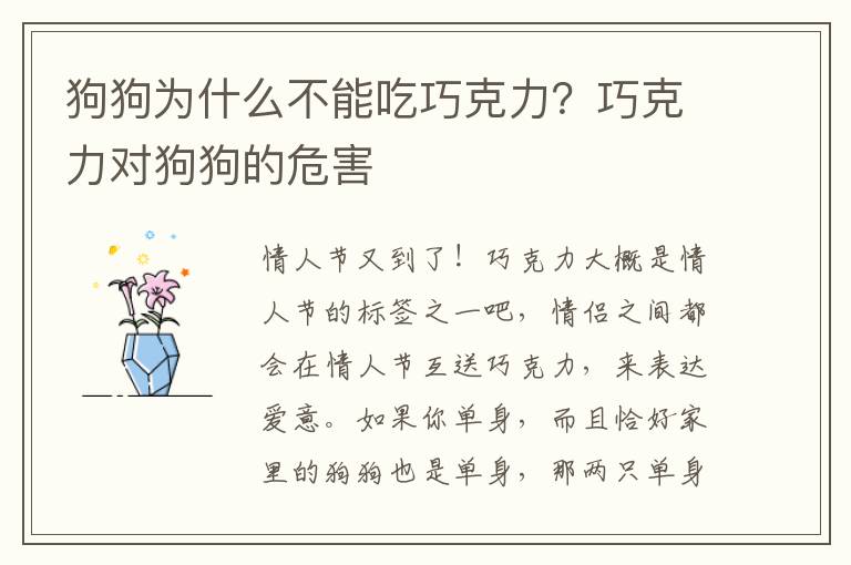狗狗为什么不能吃巧克力？巧克力对狗狗的危害