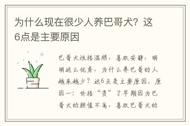 为什么现在很少人养巴哥犬？这6点是主要原因