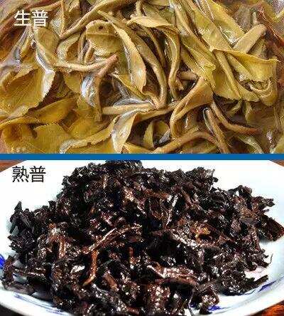 普洱茶生茶和熟茶的区别有哪些？