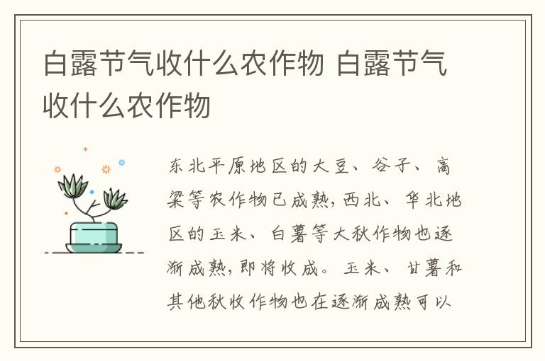 白露节气收什么农作物 白露节气收什么农作物