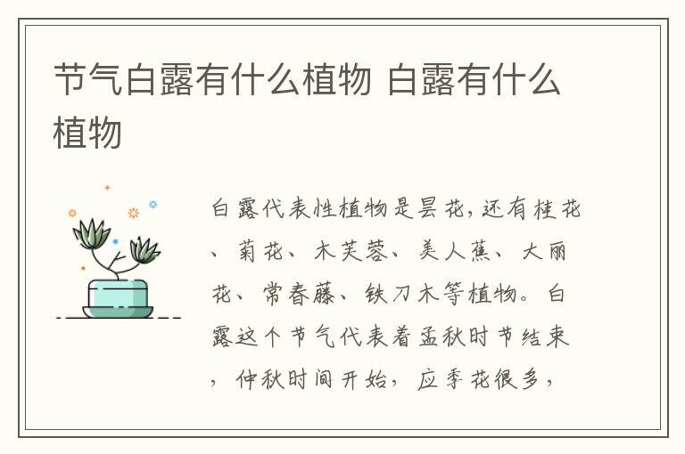 节气白露有什么植物 白露有什么植物