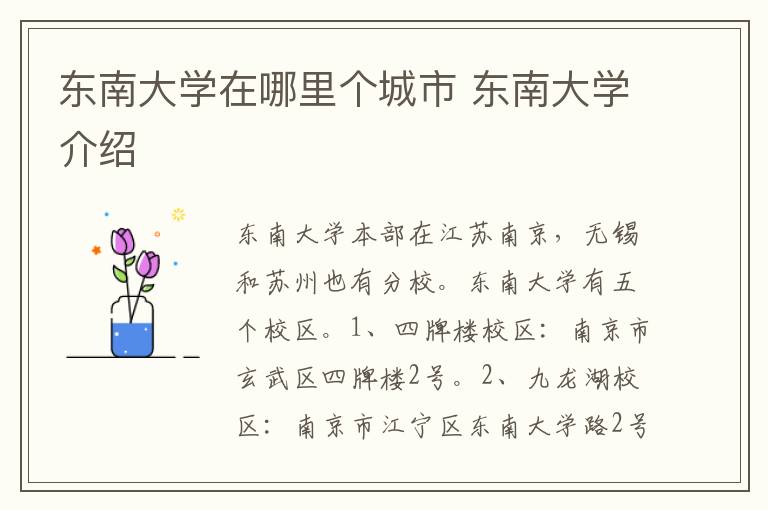 东南大学在哪里个城市 东南大学介绍