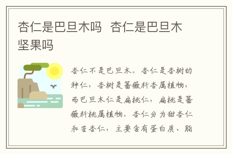 杏仁是巴旦木吗  杏仁是巴旦木坚果吗