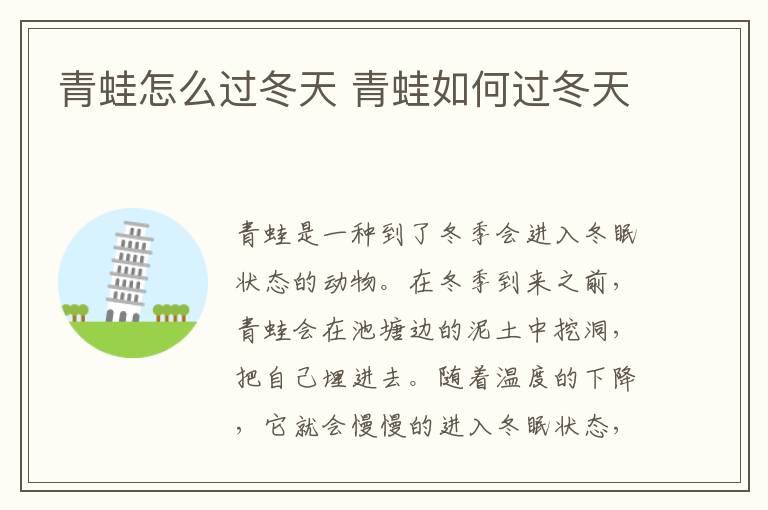 青蛙怎么过冬天 青蛙如何过冬天