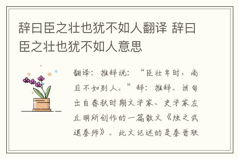 辞曰臣之壮也犹不如人翻译 辞曰臣之壮也犹不如人意思