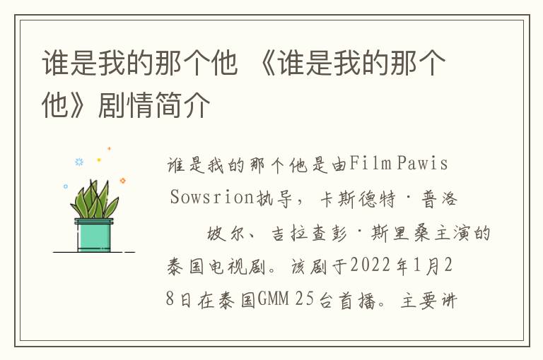 谁是我的那个他 《谁是我的那个他》剧情简介