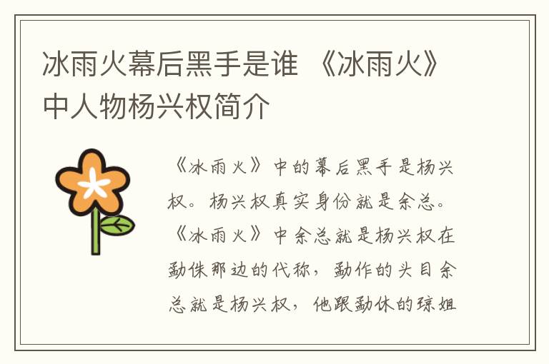 冰雨火幕后黑手是谁 《冰雨火》中人物杨兴权简介