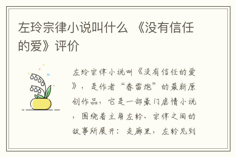 左玲宗律小说叫什么 《没有信任的爱》评价