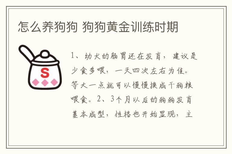 怎么养狗狗 狗狗黄金训练时期